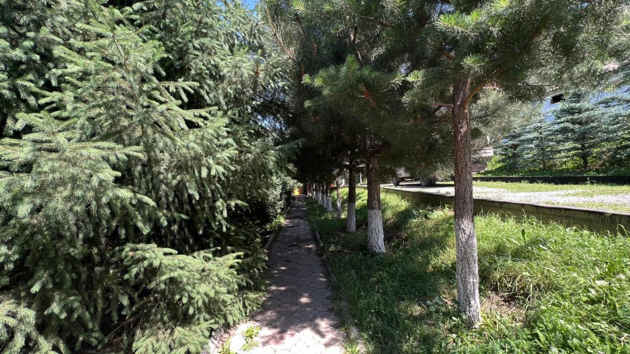 Гостевой Дом Коль-Тор Kegeti Exterior foto